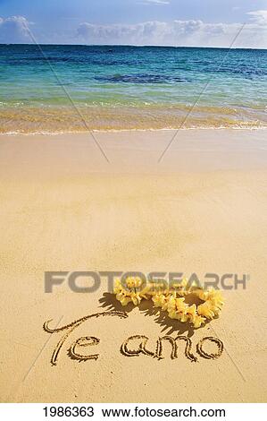 Hawaii, Oahu, Lanikai Beach Te Amo Written In The Sand With Yellow Plumeria Lei, Turquoise Ocean View Large Photo Image Stock Image - Hawaii, Oahu, Lanikai Beach Te Amo Written In The Sand With Yellow Plumeria Lei, Turquoise Ocean. Fotosearch