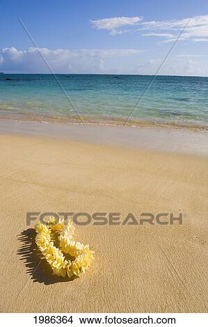 Picture - Hawaii, Oahu, Lanikai Beach, Turquoise Ocean With Yellow Plumeria Lei Laying On The Sand.. Fotosearch