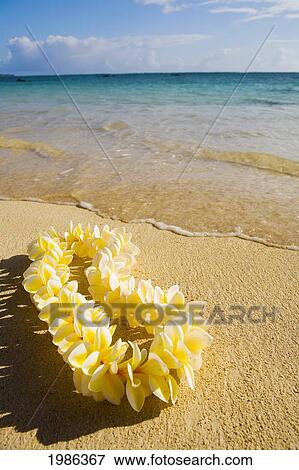 Stock Photo - Hawaii, Oahu, Lanikai Beach, Turquoise Ocean With Yellow Plumeria Lei Laying On The Sand.. Fotosearch