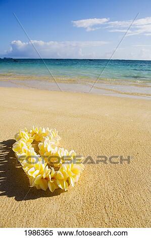 Stock Photography - Hawaii, Oahu, Lanikai Beach, Turquoise Ocean With Yellow Plumeria Lei Laying On The Sand.. Fotosearch