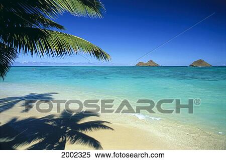 Hawaii, Oahu, Lanikai Beach With Calm Turquoise Water, Mokulua Islands Background Palm Fronds And Shadow Foreground View Large Photo Image Stock Photography - Hawaii, Oahu, Lanikai Beach With Calm Turquoise Water, Mokulua Islands Background Palm Fronds And Shadow Foreground. Fotosearch