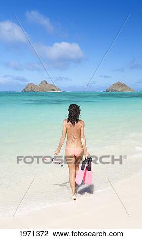 Hawaii, Oahu, Lanikai Beach, Woman Walking Into Ocean With Snorkel Gear. View Large Photo Image Stock Image - Hawaii, Oahu, Lanikai Beach, Woman Walking Into Ocean With Snorkel Gear.. Fotosearch