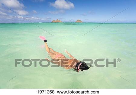 Hawaii, Oahu, Lanikai Beach, Woman Snorkeling In Turquoise Ocean Water. View Large Photo Image Stock Photo - Hawaii, Oahu, Lanikai Beach, Woman Snorkeling In Turquoise Ocean Water.. Fotosearch