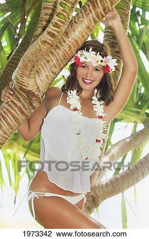 Hawaii, Oahu, Lanikai, Beautiful Girl Stands On A Palm Tree At Tropical Beach Wearing A White Outfit. View Large Photo Image Stock Image - Hawaii, Oahu, Lanikai, Beautiful Girl Stands On A Palm Tree At Tropical Beach Wearing A White Outfit.. Fotosearch