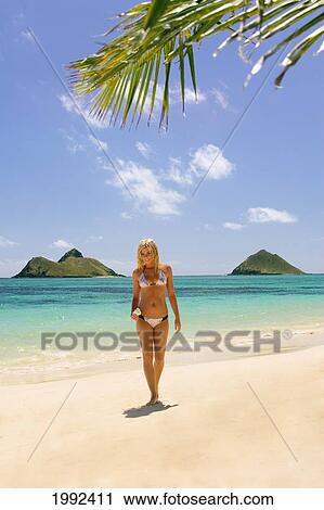 Hawaii, Oahu, Lanikai, Beautiful Young Woman Walking On A Tropical Beach, Palm Frond Above. View Large Photo Image Stock Image - Hawaii, Oahu, Lanikai, Beautiful Young Woman Walking On A Tropical Beach, Palm Frond Above.. Fotosearch