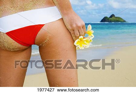 Stock Photo - Hawaii, Oahu, Lanikai, Bikini-Clad Girl On Beach Holding Plumeria Flowers, Body Close-Up Of Backside.. Fotosearch