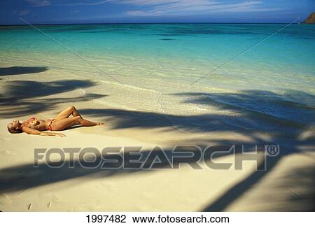 Stock Image - Hawaii, Oahu, Lanikai, Full Length Viwe Of Woman Lying On Beach Palm Shadows. Fotosearch