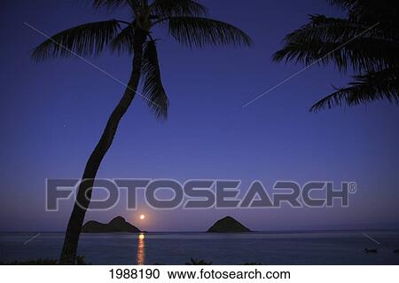 Stock Image - Hawaii, Oahu, Lanikai, Full Moon Rising Over The Mokulua Islands With Palm Trees In The Foreground. Fotosearch