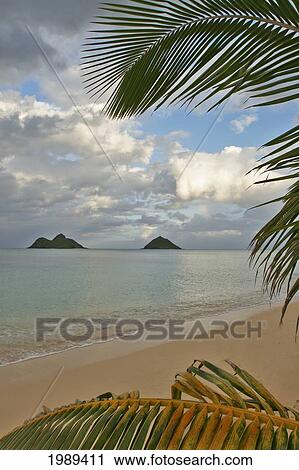 Stock Image - Hawaii, Oahu, Lanikai, Late Afternoon View Of The Mokulua Islands Framed With Palm Fronds.. Fotosearch