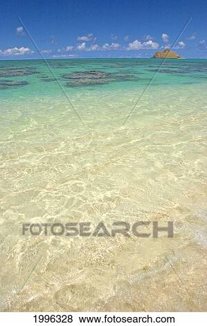 Stock Photo - Hawaii, Oahu, Lanikai, Mokulua Islands, Clear Water, Coral. Fotosearch
