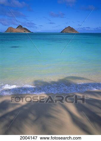 Stock Photo - Hawaii, Oahu, Lanikai, Palm Shadow On Sand Shoreline Mokulua Islands Background Blue Sky With Clouds. Fotosearch