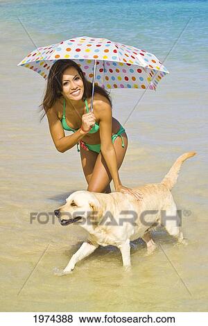 Hawaii, Oahu, Lanikai, Portrait Of Attractive Young Woman Holding An Umbrella And Walking With Her Dog. View Large Photo Image Stock Photo - Hawaii, Oahu, Lanikai, Portrait Of Attractive Young Woman Holding An Umbrella And Walking With Her Dog.. Fotosearch