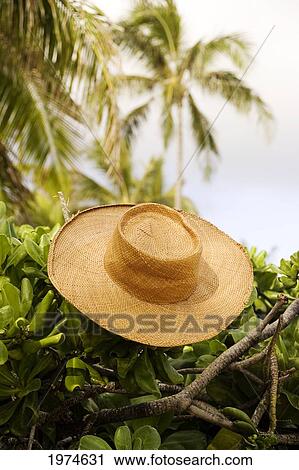 Hawaii, Oahu, Lanikai, Still Life Of Straw Hat. View Large Photo Image Stock Image - Hawaii, Oahu, Lanikai, Still Life Of Straw Hat.. Fotosearch