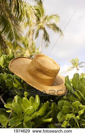 Stock Photo - Hawaii, Oahu, Lanikai, Still Life Of Straw Hat.. Fotosearch