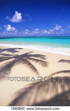 Hawaii, Oahu, Lanikai, Tropical Beach Scene With Palm Shadow On Shoreline Sand View Large Photo Image Stock Image - Hawaii, Oahu, Lanikai, Tropical Beach Scene With Palm Shadow On Shoreline Sand. Fotosearch