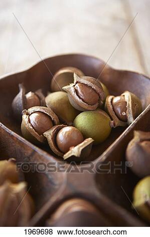 Hawaii, Oahu, Macadamia Nuts In A Beautiful Wooden Platter. View Large Photo Image Stock Photo - Hawaii, Oahu, Macadamia Nuts In A Beautiful Wooden Platter.. Fotosearch