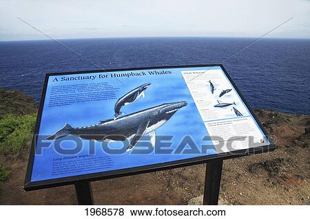 Stock Photo - Hawaii, Oahu, Makapuu, Whale Watching Scenic Spot.. Fotosearch