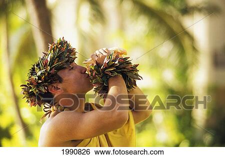Hawaii, Oahu, Man Blowing Conch Shell In Hawaiian Dressings. Blurred Background. View Large Photo Image Stock Photograph - Hawaii, Oahu, Man Blowing Conch Shell In Hawaiian Dressings. Blurred Background.. Fotosearch