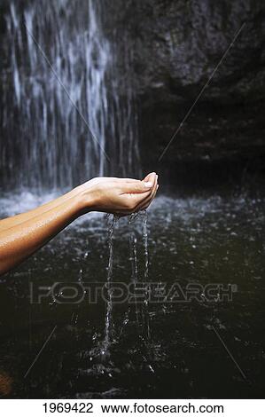 Stock Image - Hawaii, Oahu, Manoa Falls, Shot Of A Womans Hands Cupping Water.. Fotosearch