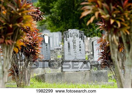Stock Photo - Hawaii, Oahu, Manoa Valley, Chinese Cemetery at Woodlawn, well-known for being haunted. Fotosearch