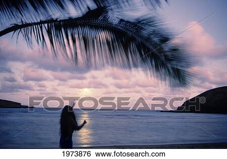Hawaii, Oahu, Moonrise At Hanauma Bay, Hula Dancer And Palm Frond, Showing Motion. View Large Photo Image Stock Photograph - Hawaii, Oahu, Moonrise At Hanauma Bay, Hula Dancer And Palm Frond, Showing Motion.. Fotosearch