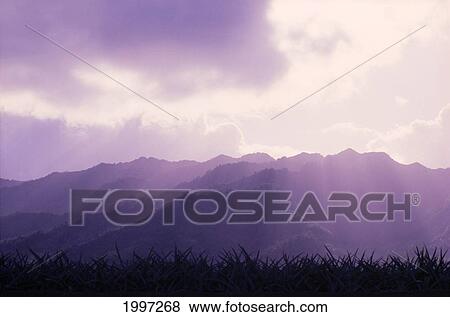 Hawaii, Oahu, Mount Kaala Waianae Mountain Range Sun Rays A43A View Large Photo Image Stock Photo - Hawaii, Oahu, Mount Kaala Waianae Mountain Range Sun Rays A43A. Fotosearch