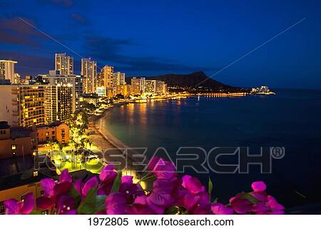 Hawaii, Oahu, Nighttime View Of Waikik With Flowers In Foreground. View Large Photo Image Stock Photography - Hawaii, Oahu, Nighttime View Of Waikik With Flowers In Foreground.. Fotosearch
