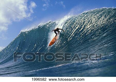Stock Image - Hawaii, Oahu, North Shore, Action Shot Keala Dropping Down Steep Wave About To Curl. Fotosearch