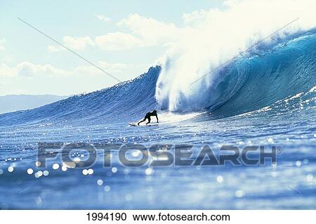 Stock Image - Hawaii, Oahu, North Shore, Banzai Pipeline, Pancho Sullivan Riding Wave. Fotosearch