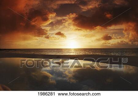 Hawaii, Oahu, North Shore, Beach Tidepool Next To Ocean Reflecting The Sunset Sky. View Large Photo Image Stock Image - Hawaii, Oahu, North Shore, Beach Tidepool Next To Ocean Reflecting The Sunset Sky.. Fotosearch