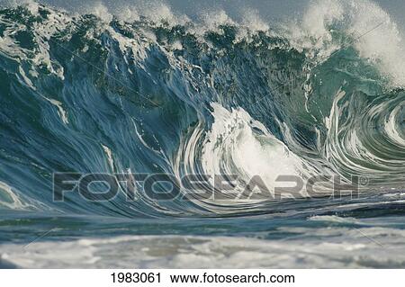 Stock Image - Hawaii, Oahu, North Shore, Beautiful Textures Surface Of A Shorebreak Wave About To Crash.. Fotosearch
