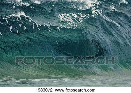 Hawaii, Oahu, North Shore, Beautiful Textures Surface Of A Shorebreak Wave About To Crash. View Large Photo Image Stock Image - Hawaii, Oahu, North Shore, Beautiful Textures Surface Of A Shorebreak Wave About To Crash.. Fotosearch