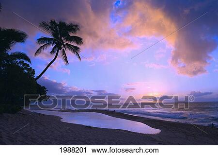 Stock Image - Hawaii, Oahu, North Shore, Beautiful Pink And Purple Sunset. Fotosearch