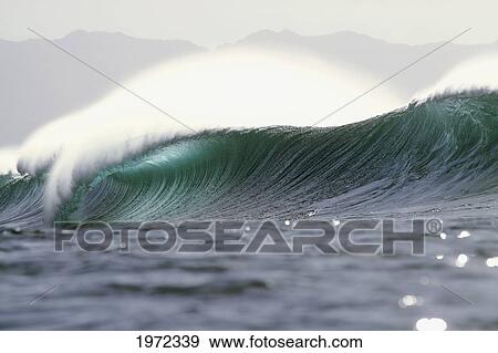 Stock Photo - Hawaii, Oahu, North Shore, Beautiful Empty Wave At Pipeline, Afternoon Light.. Fotosearch