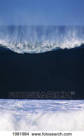 Picture - Hawaii, Oahu, North Shore, blue green wave curling at shorebreak. Fotosearch