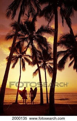 Hawaii, Oahu, North Shore, Couple Walk Along Shoreline Surfboard, Palms At Sunset Golden Silhouette View Large Photo Image Stock Photography - Hawaii, Oahu, North Shore, Couple Walk Along Shoreline Surfboard, Palms At Sunset Golden Silhouette. Fotosearch