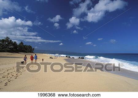 Stock Photo - Hawaii, Oahu, North Shore, Ehukai Beach, Women Walking Dogs, View From Behind. For Editorial Use Only.. Fotosearch
