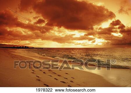 Stock Image - Hawaii, Oahu, North Shore, Footprints On A Sandy Beach At Sunset.. Fotosearch