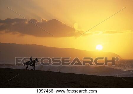 Stock Photograph - Hawaii, Oahu, North Shore, Girl On Horseback At Sunset On Beach, Distance A43F. Fotosearch