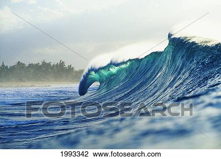 Hawaii, Oahu, North Shore; Green Wave Curling With Mist Blowing Off Tip, Beach In Background View Large Photo Image Stock Image - Hawaii, Oahu, North Shore; Green Wave Curling With Mist Blowing Off Tip, Beach In Background. Fotosearch