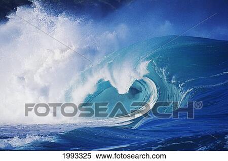Hawaii, Oahu, North Shore; Green Wave Curling Crashing With White Wash View Large Photo Image Stock Photography - Hawaii, Oahu, North Shore; Green Wave Curling Crashing With White Wash. Fotosearch