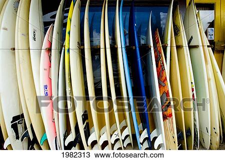 Hawaii, Oahu, North Shore, Haleiwa, row of surfboards outside of a surfshop View Large Photo Image Stock Image - Hawaii, Oahu, North Shore, Haleiwa, row of surfboards outside of a surfshop. Fotosearch