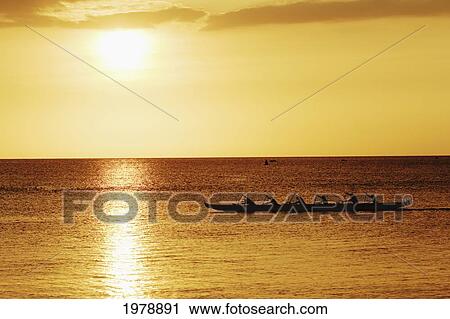Hawaii, Oahu, North Shore, Haleiwa, Canoe Silhouetted By Bright Sunset. View Large Photo Image Stock Image - Hawaii, Oahu, North Shore, Haleiwa, Canoe Silhouetted By Bright Sunset.. Fotosearch