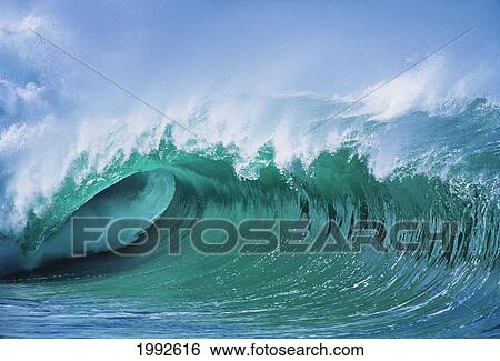 Hawaii, Oahu, North Shore; Large Wave Curling Breaking With White Mist Blowing Back. View Large Photo Image Stock Photograph - Hawaii, Oahu, North Shore; Large Wave Curling Breaking With White Mist Blowing Back.. Fotosearch