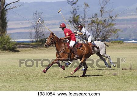 Picture - Hawaii, Oahu, North Shore, Men On Horseback Playing Polo On Oceanside Fields. No Model Release. Fotosearch