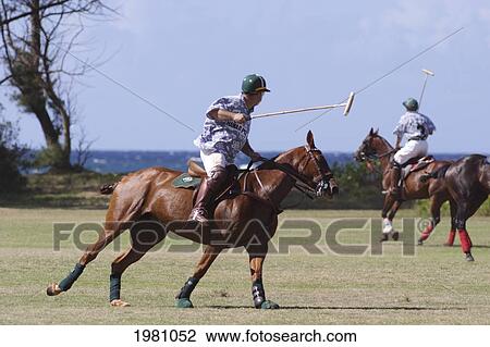 Stock Image - Hawaii, Oahu, North Shore, Men On Horseback Playing Polo On Oceanside Fields. No Model Release. Fotosearch