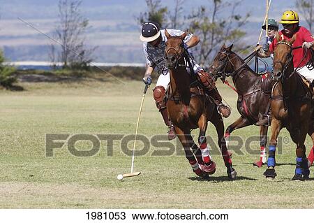 Stock Image - Hawaii, Oahu, North Shore, Men On Horseback Playing Polo On Oceanside Fields. No Model Release. Fotosearch