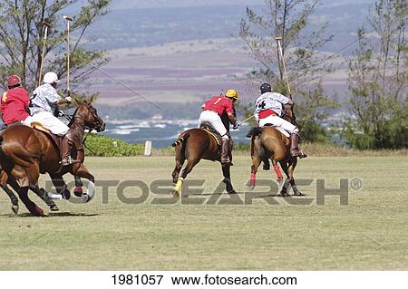 Stock Photo - Hawaii, Oahu, North Shore, Men On Horseback Playing Polo On Oceanside Fields. No Model Release. Fotosearch