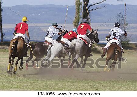 Hawaii, Oahu, North Shore, Men On Horseback Playing Polo On Oceanside Fields. No Model Release View Large Photo Image Stock Photograph - Hawaii, Oahu, North Shore, Men On Horseback Playing Polo On Oceanside Fields. No Model Release. Fotosearch