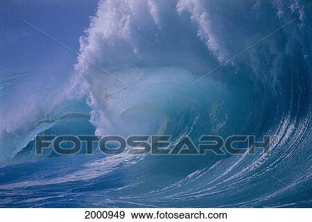 Stock Photo - Hawaii, Oahu, North Shore, Powerful Wave About To Crash, Whitewash Foamy Surf. Fotosearch
